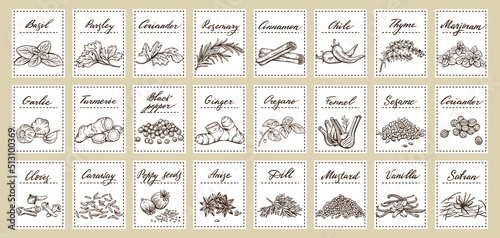 Vector set of stickers for spices.  basil, parsley, coriander, rosemary, cinnamon, chili, pepper, thyme, turmeric, black pepper, ginger, oregano, cumin, poppy, anise, garlic, dill, mustard, saffron, v
