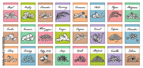 Vector set of stickers for spices.  basil, parsley, coriander, rosemary, cinnamon, chili, pepper, thyme, turmeric, black pepper, ginger, oregano, cumin, poppy, anise, garlic, dill, mustard, saffron