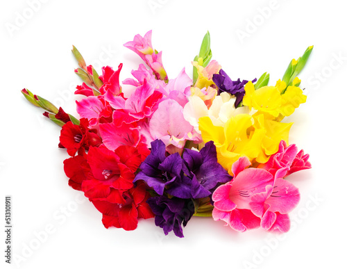 Beautiful bouquet gladiolus flowers. Blank of congratulatory card.
