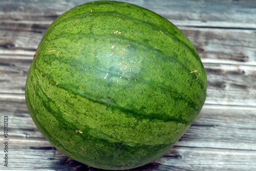 Watermelon (Citrullus lanatus) isolated on a wooden background, succulent fruit and vinelike plant of the gourd family (Cucurbitaceae), eaten raw and full of vitamin A and C, selective focus photo