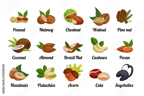 Nuts and seeds. Peanut and hazelnut, coconut and pistachio, food icons for snack logo, raw health plant and nutrition healthy eating. Organic ingredient cartoon vector isolated illustration