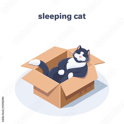 isometric vector illustration on white background, cat sleeping in a cardboard box, pets in everyday life