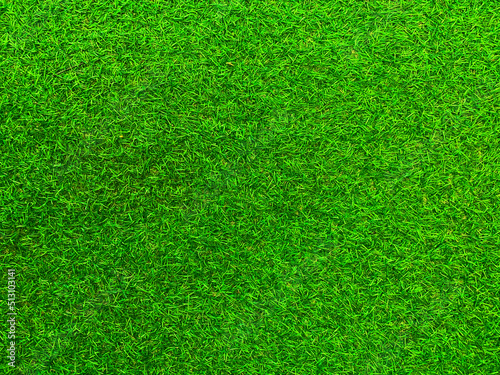 Green grass texture background grass garden  concept used for making green background football pitch, Grass Golf,  green lawn pattern textured background. © Sittipol 