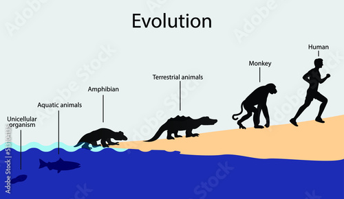 illustration of biology and animal evolution, Evolution of unicellular organisms to humans, All Species Evolved From Single Cell photo