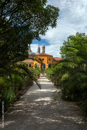 Fotomurale University of Padua Botanical Garden in Padua on a summer day