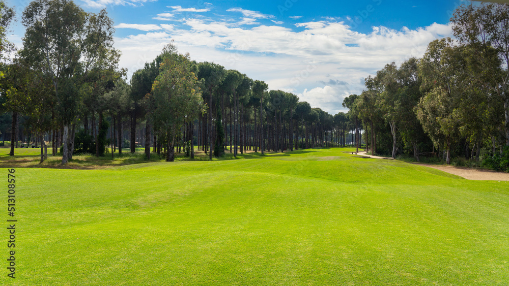 Panoramic view of beautiful golf course with pines on sunny day. Golf field with fairway, lake and pine-trees