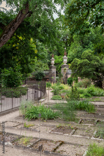 University of Padua Botanical Garden in Padua on a summer day