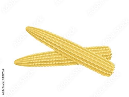 Vector illustration, baby corn isolated on white background, realistic style, suitable for packaging labels.
