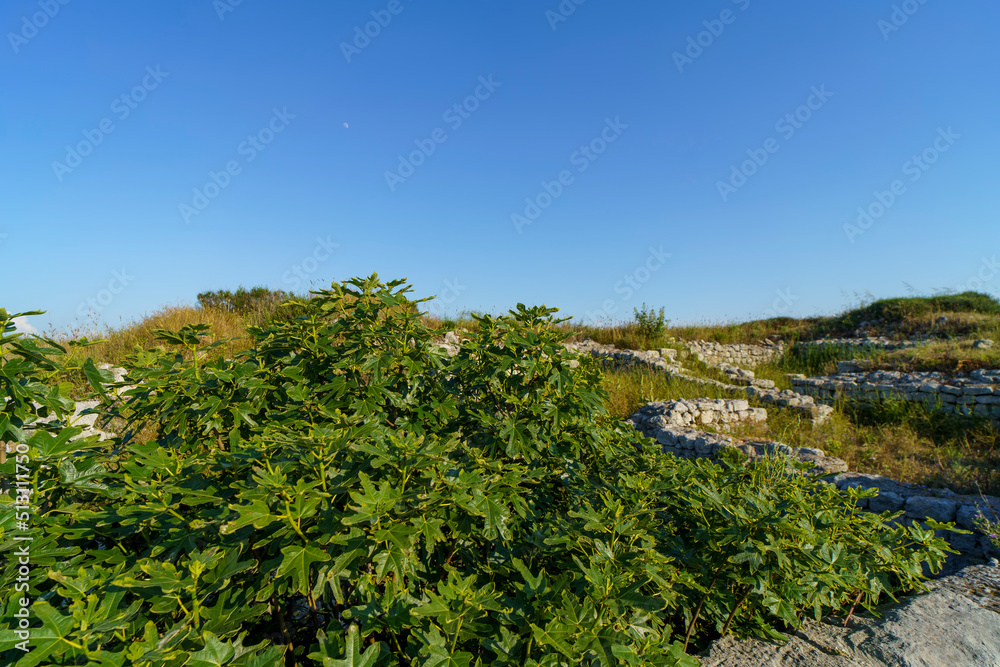 Sevastopol, Chersonese. Landscape overlooking the sea and the city.