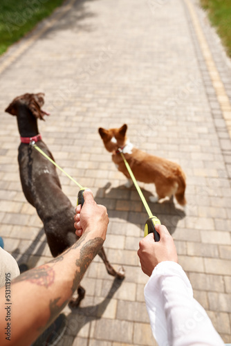 Partial of couple walking their dogs on sidewalk