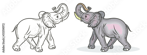 Fototapeta Naklejka Na Ścianę i Meble -  Animals. Black-and-white and color image of a large elephant, coloring book for children.
 Vector image.