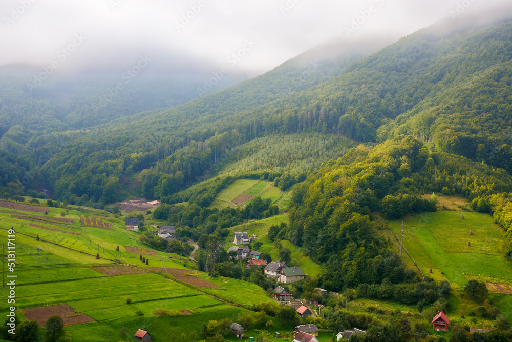 carpathian rural landscape. green fields and arable on the hills. small village in the valley. forested mountain beneath a bright overcast sky