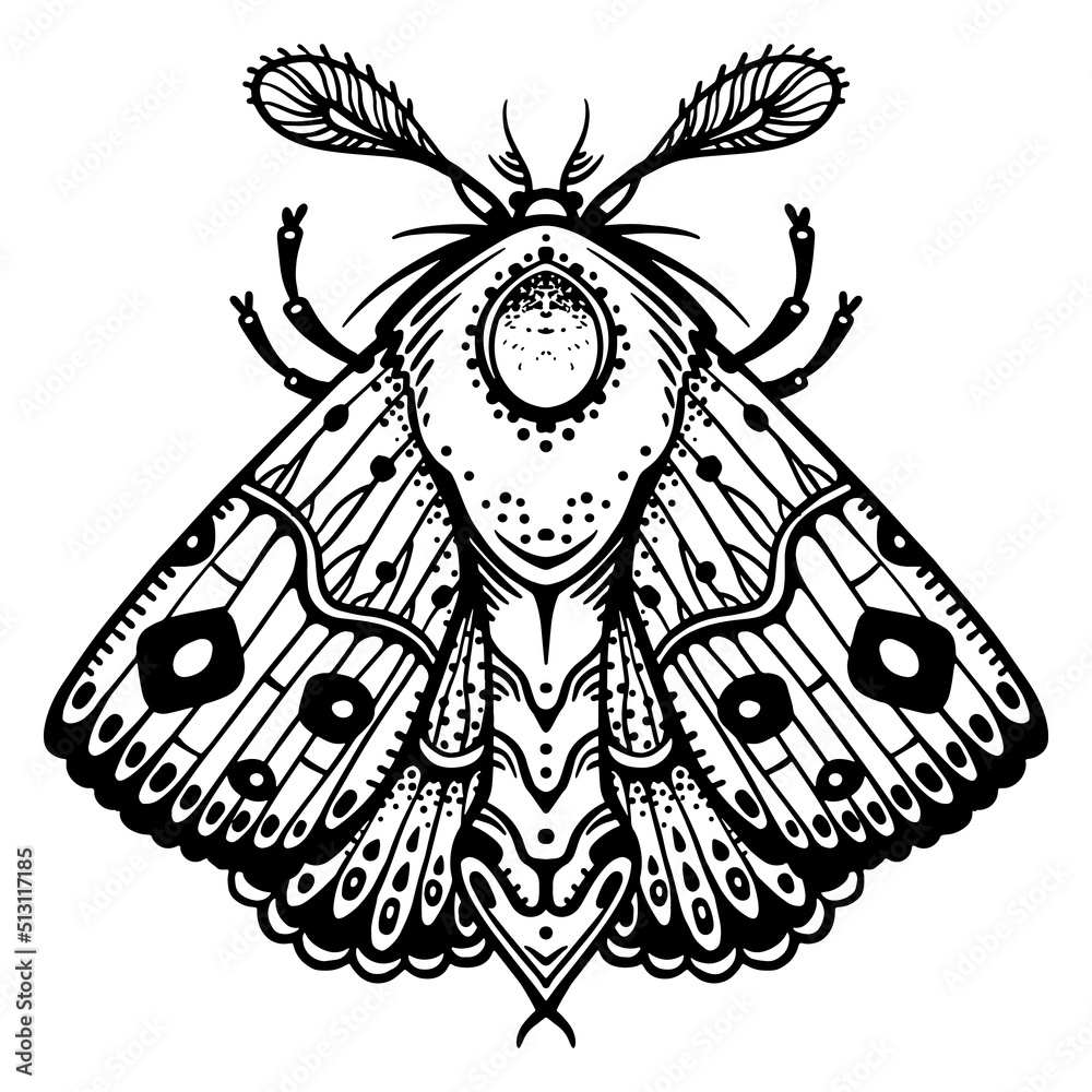 Fototapeta premium Line drawing of butterfly for stickers, tattoos and designs