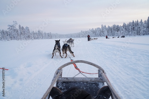 フィンランド_北極圏　雪原の犬ぞり