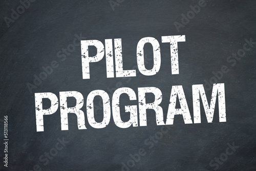 Pilot Program