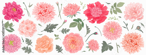 Set of hand drawn detailed flowers and leaves isolated on white background. Collection of realistic floral decor. Vector illustration