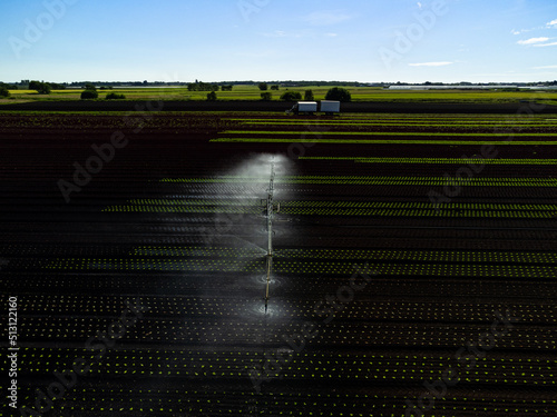 Aerial view of an agricultural arable crop irrigation system spraying water on the English farmland