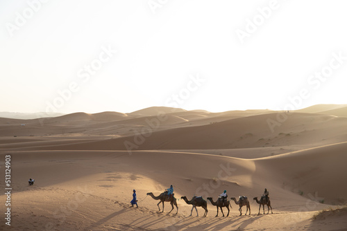 Caravana de camellos en el desierto de Merzouga, Marruecos. 