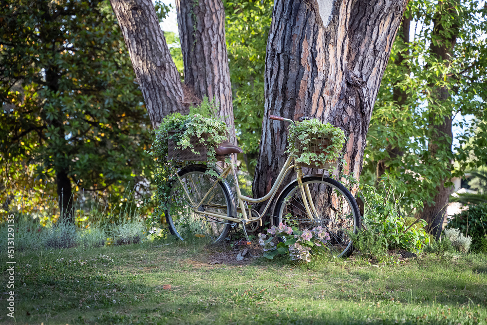 a bicycle decorated with plants in the park