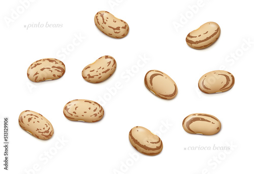 Several pinto and carioca beans isolated on white background. Top view. Realistic vector illustration.