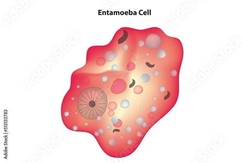 Εκτύπωση καμβά Entamoeba cell