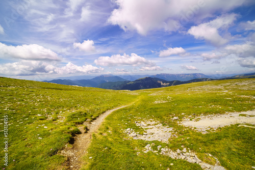 Path in the green meadow that leads to the high mountains of the Pyrenees, Spain.