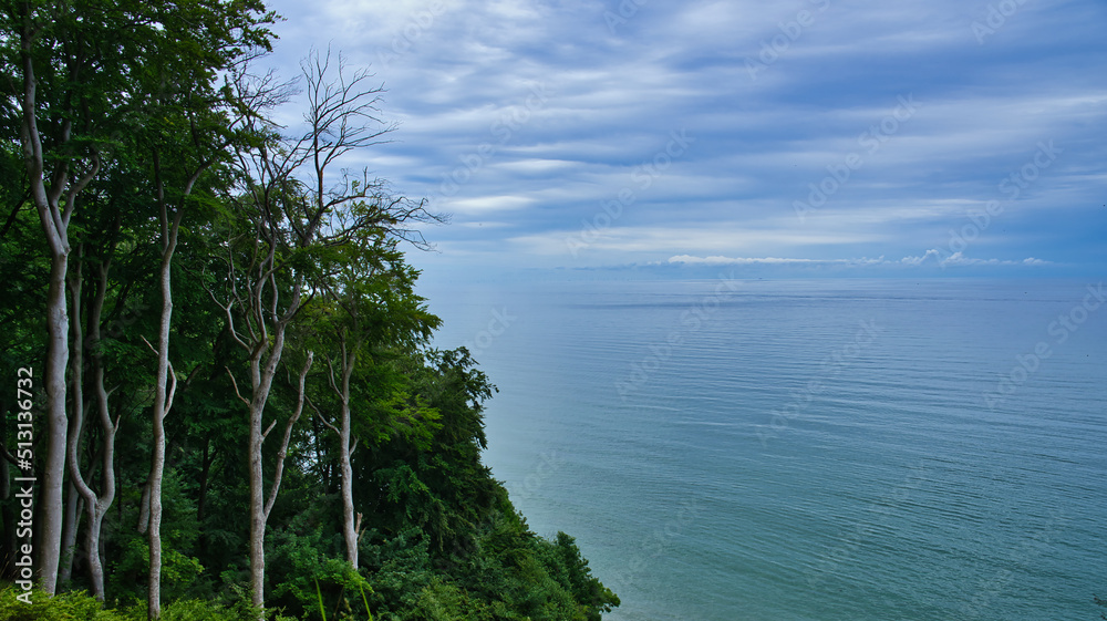 Obraz premium Wald Küste Meer