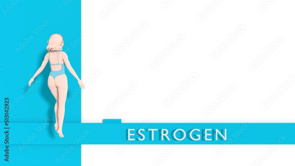 Dependence of fertility on hormone estrogen level. Spinning model of woman. 3D render Dependence of fertility on hormone estrogen level. Spinning model of woman. 3D render