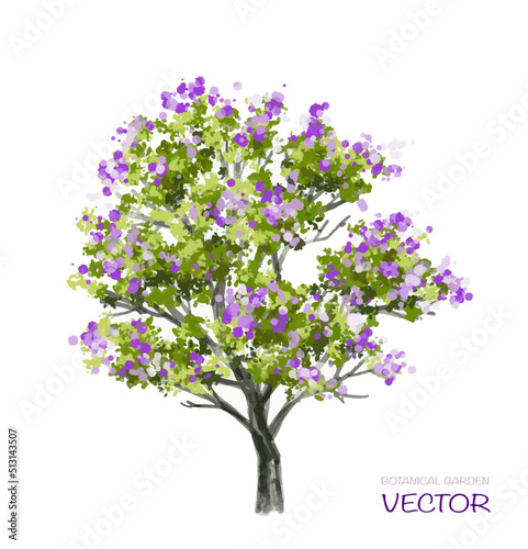 Vector watercolor blooming flower tree side view isolated on white background for landscape and architecture drawing, elements for environment or and garden,botanical elements for section 