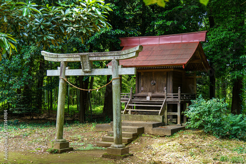 森の中の小さな神社 © Gottchin Nao