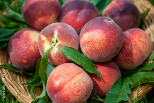 Panier de pêches bio du Roussillon.