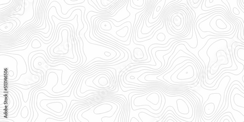 Topographic background and texture, monochrome image. 3D waves. Cartography Background, White wave paper curved reliefs abstract background
