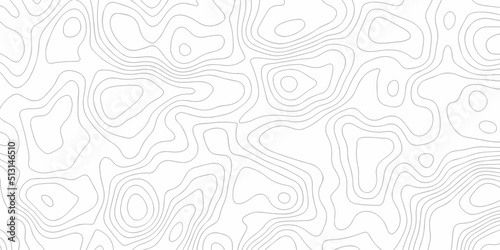 Topographic background and texture, monochrome image. Cartography Background, White wave paper curved reliefs abstract background