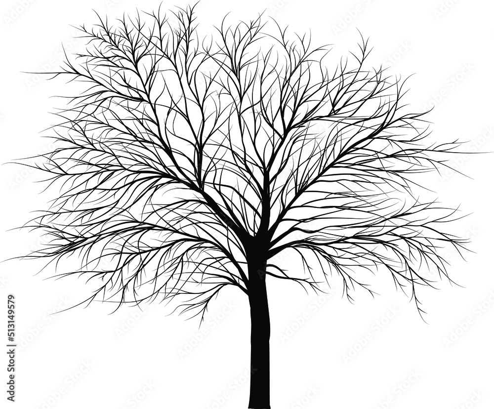 Obraz premium Vector tree icon on isolated white background.