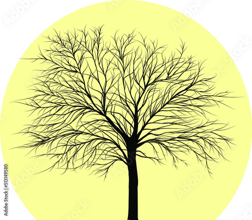 Vector tree icon on isolated background