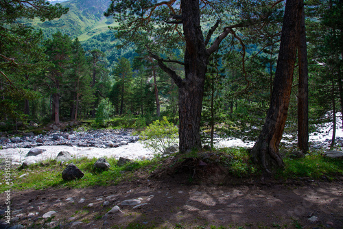 Azau river in the Caucasus mountains. Kabardino-Balkaria, Russia