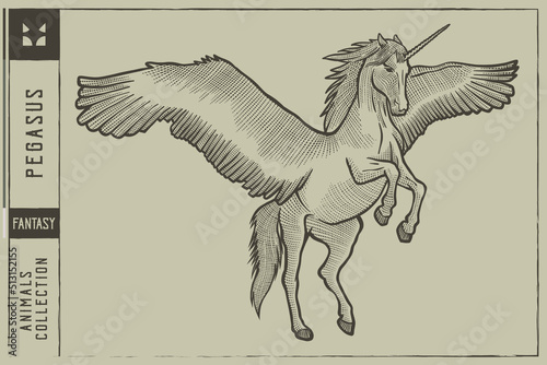 Pegasus Vector illustration - Hand drawn - Out line