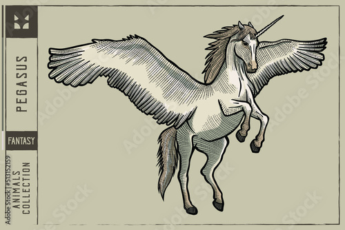 Pegasus Vector illustration - Hand drawn