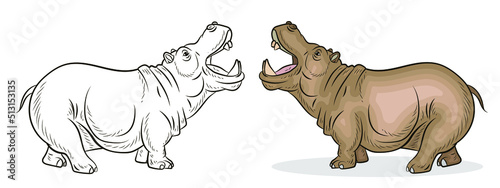 In the animal world. An image of an African hippo.
 Black-and-white and color drawing, coloring. Vector drawing.