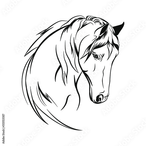 Head horse. Vector black and white isolated illustration of horse. For decoration, coloring book, design, prints, posters, postcards, stickers, tattoo, t-shirt