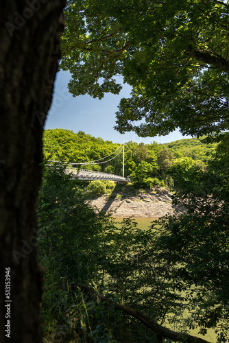 Victor-Neels-Brücke über der Urft im Nationalpark Eifel im Sommer