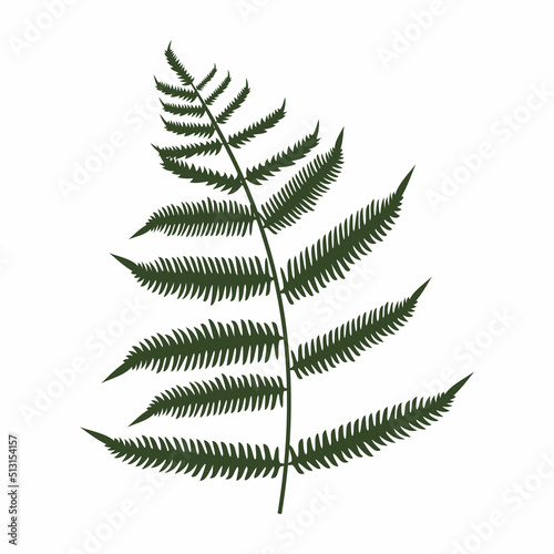 Footprint of prehistoric fern leaf plant silhouette