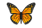 Monarch butterfly (Danaus plexippus). Wild nature concept