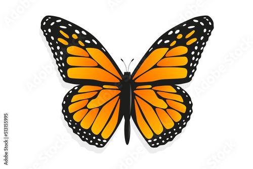 Monarch butterfly (Danaus plexippus). Wild nature concept © zah108