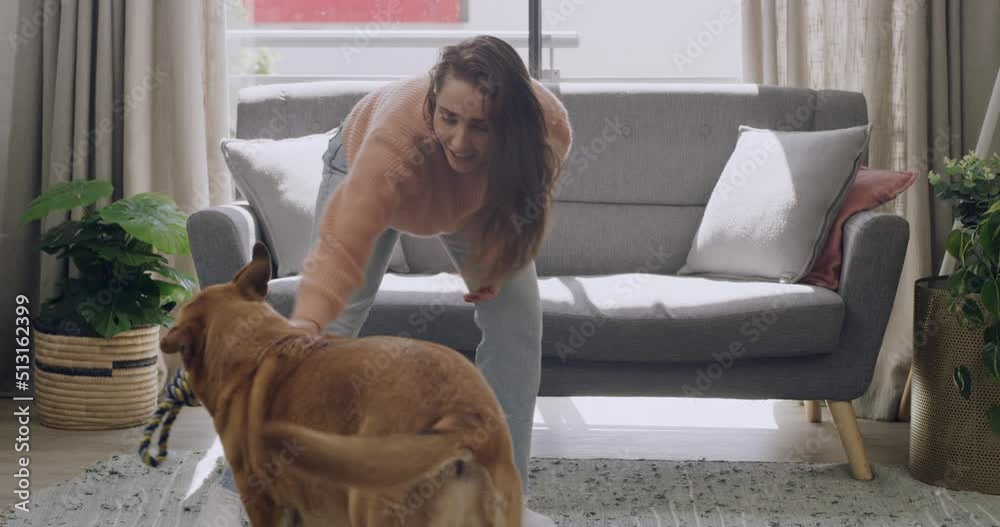 Caucasian woman teaching cute furry brown dog tricks and clapping her hands for being good and obedient. Woman and pet in a living room at home. Training animal with a chew toy and having fun together