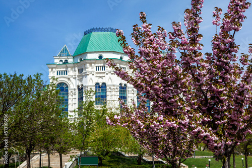 Cherry blossoms against the backdrop of the Astrakhan Opera and Ballet Theatre. Astrakhan. Russia