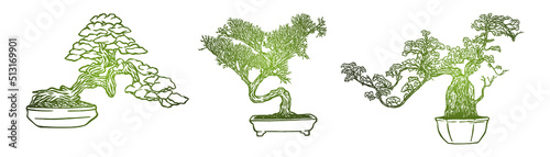 Set of bonsai Japanese trees grown in containers - Hand drawn - Out line