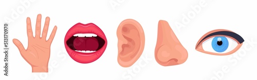Five human senses, face parts or sensory organs set. Nose, ear, eye, mouth, hands. Vision, smell, hearing, touch, taste. Perception of environment, sensations