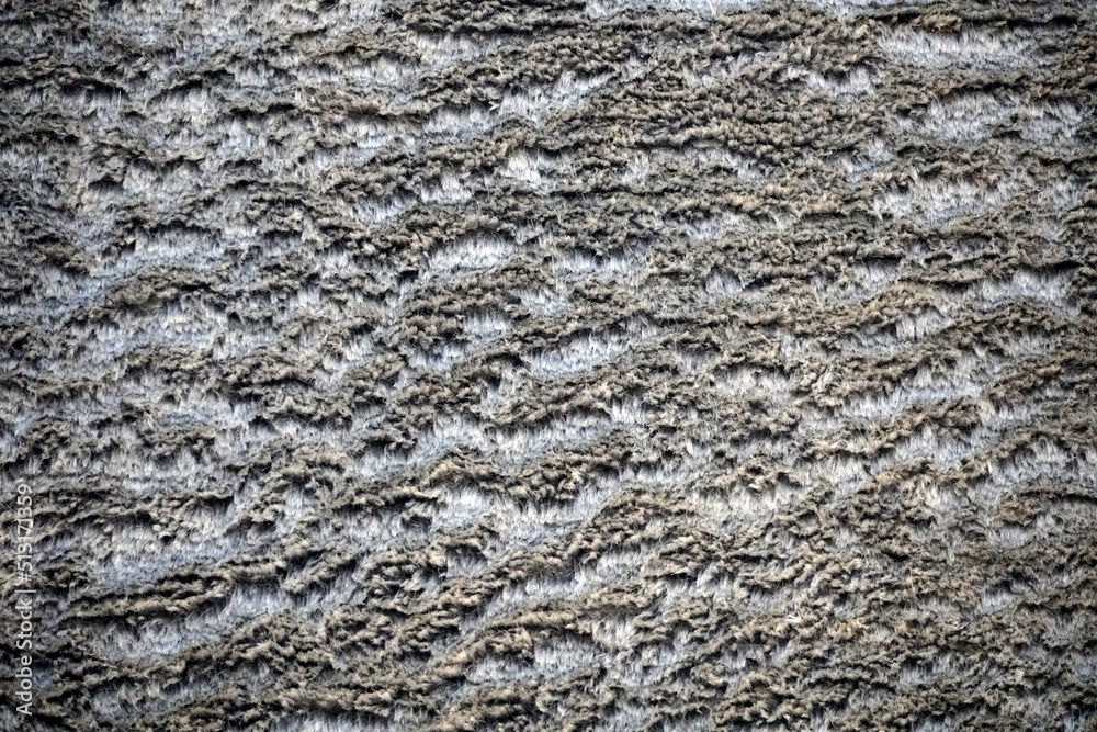 Wet wool carpet. Texture. Background. Grey colour Wet wool carpet. Texture. Background. Grey colour