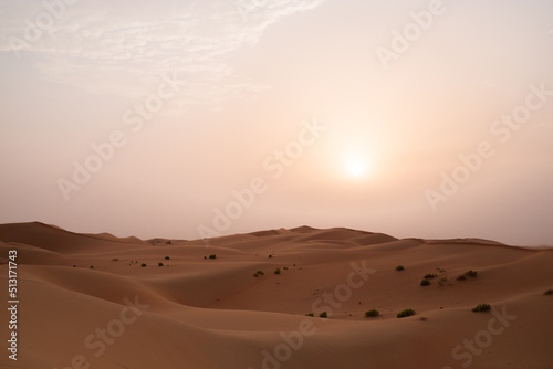 Sun rising over the majestic orange sand dunes of Al Wathba desert in Abu Dhabi  United Arab Emirates.